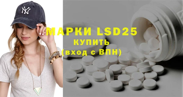 PSILOCYBIN Бородино