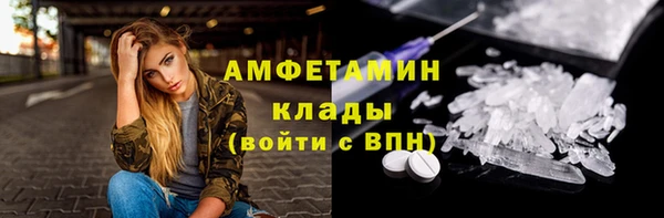 PSILOCYBIN Бородино