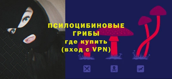 PSILOCYBIN Бородино
